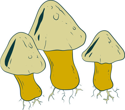 Mushroom Illustration Element