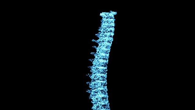Digital, hologram and medical with xray of spine for data, research or 3d technology. Medicine, healthcare or science scan of skeleton anatomy on black background for futuristic, orthopedic or bones