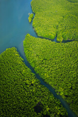 Aerial view of mangrove in Ao thalane-Thailand	