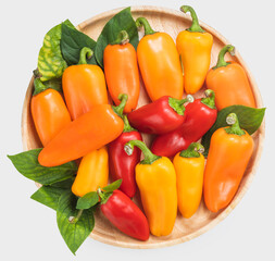 Mixed Color Sweet bite Peppers  or Bell pepper on wooden plate Isolate on white background with clipping path.