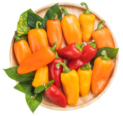 Mixed Color Sweet bite Peppers  or Bell pepper on wooden plate  on white background PNG File.