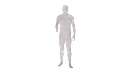 White plastic High resolution conceptual human 3D anatomy body 3d illustration isolated 
