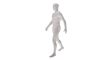 White plastic High resolution conceptual human 3D anatomy body 3d illustration isolated 
