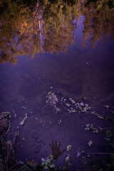 Reflejo de agua donde se ve una mano 