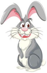 Funny Rabbit Cartoon Character