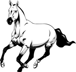 Running Horse Graphic Design. Vector Hand Drawn Illustration Isolated On Transparent Background
