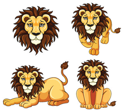 Set of lion cartoon in diffrent pose