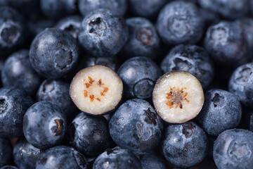 ripe sweet blueberry cut texture background.