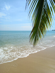 Tropical beach with palm tree, blue sky and ocean wave background. Thailand
