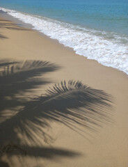 Tropical beach with palm leaf shadow on sand and sea wave. 