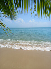 Fototapeta na wymiar Tropical beach with palm leaf and ocean wave as background , Thailand.