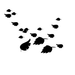 Leaf group silhouette