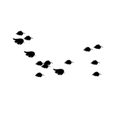 Leaf group silhouette