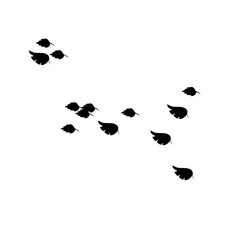 Leaf group silhouette