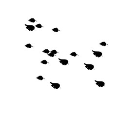 Leaf group silhouette