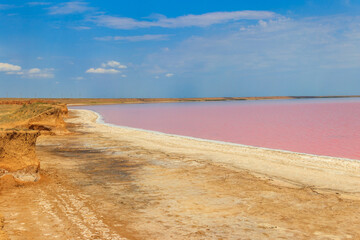 View of the pink salty Syvash lake in Kherson region, Ukraine