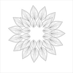 Decorative Doodle flowers in black and white for coloring page, cover, wedding invitation, greeting card, wall art and wallpaper. Hand drawn sketch for adult anti stress coloring page.-vector 