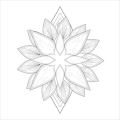 Coloring Page. Hand Drawn Sketch for Adult Anti Stress, Fun and Relaxation. Abstract Flowers in Black Isolated on White Background.-vector