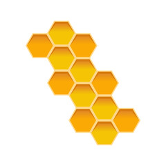 yellow honeycombs of a beehive on a white background