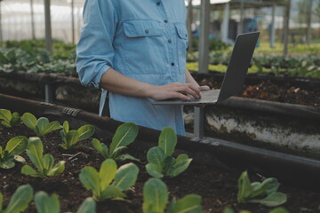 A black female farmer using a tablet smiling friendly at the organic vegetable plots inside the nursery.African woman Taking care of the vegetable plot with happiness in greenhouse using technology.