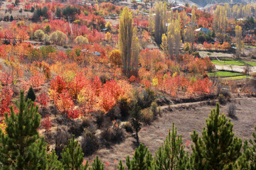 Autumn in a village in Anatolia