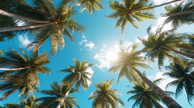 Coconut palm trees perspective view for background. Grnerative Ai.