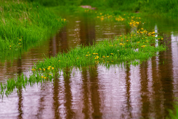 Mud large puddle rural road green grass field dandelion warm spring days  Car tracks Wheel Natural countryside landscape transport   after rain rainstorm Moldova Olanesti near river Dniester.