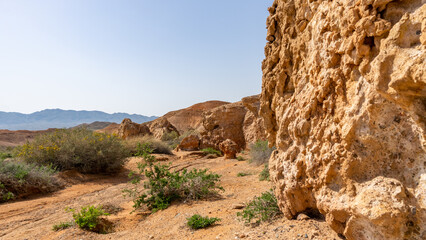 weathered sandy rocks. desert rocks