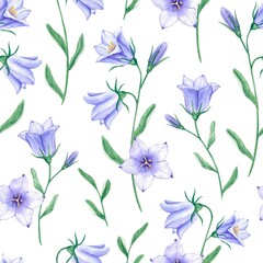 Seamless watercolor background with blue bells on white. Hand-drawn wildflowers. Summer floral design for fabric, packaging, wrapping paper.