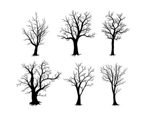 Obraz premium Bare tree silhouette isolated on white background