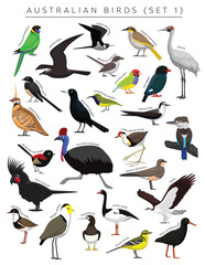 Australian Birds Set Cartoon Vector Character 1

