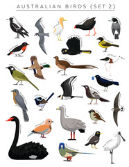 Australian Birds Set Cartoon Vector Character 2
