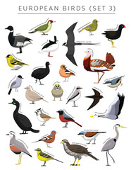 European Birds Set Cartoon Vector Character 3
