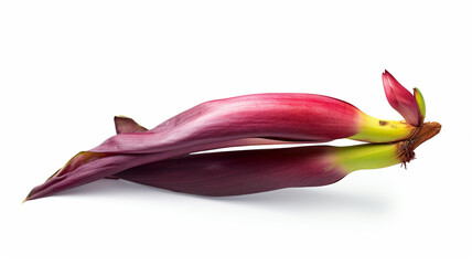 isolated white background photo of banana flower. 