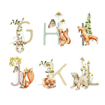 Watercolor cute woodland alphabet. Hand painted baby letters, numbers with field greenery, wild flowers, forest animals. Font with bunny, bear, deer, fox. Nursery, kids illustration for poster print