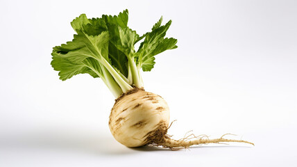 isolated white background photo of Elephant Yam. generative ai
