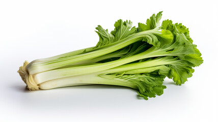 isolated white background photo of celery. generative ai