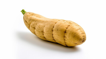 isolated white background photo of Elephant Yam. generative ai