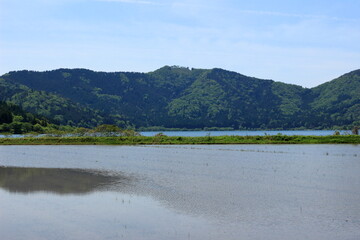 Fototapeta na wymiar 湖北の風景　水田と湖と山