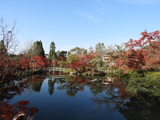 永観堂　紅葉
