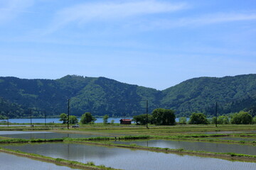 初夏の余呉湖畔の風景