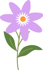 Flower Illustration