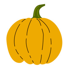Hand drawn pumpkin.  Autumn, fall, thanksgiving and halloween decoration. Cute pumpkin vector illustration