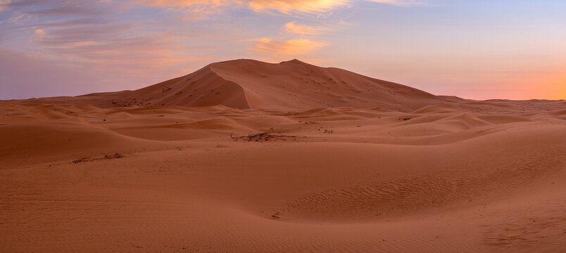 sand dunes in the desert