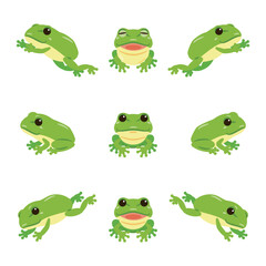 Naklejka premium 色々な角度の黒目がちなカエル セット