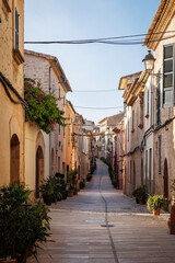Fototapeta na wymiar Alcudia street. Typical old town in Mallorca with a narrow street and potted plants