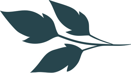 Leaf Illustration