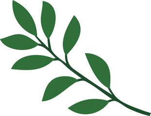 Leaf Illustration