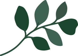 Leaf Illustration