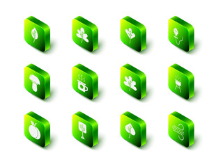 Set Leaf or leaves, Kite, Barbecue grill, Wind, and Tree icon. Vector